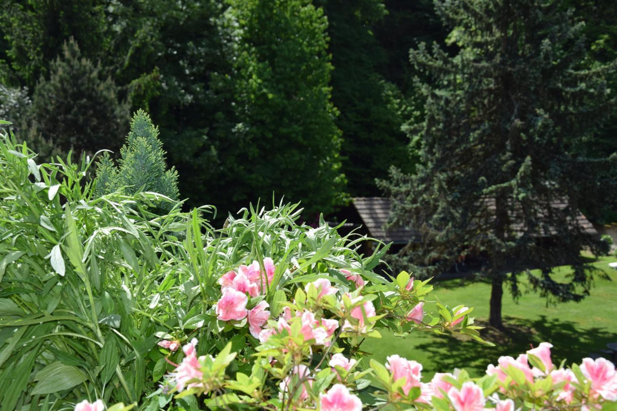 Garni Villa Siesta Park Losone Zimmer foto